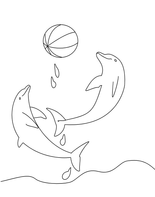 delfin3.jpg