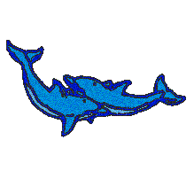 DELFINY.GIF