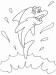 delfin4.jpg