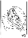 m_3164.jpg